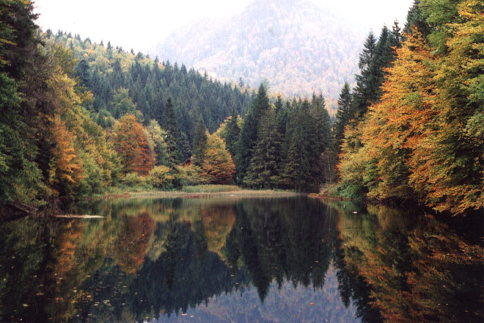 SlovRaj